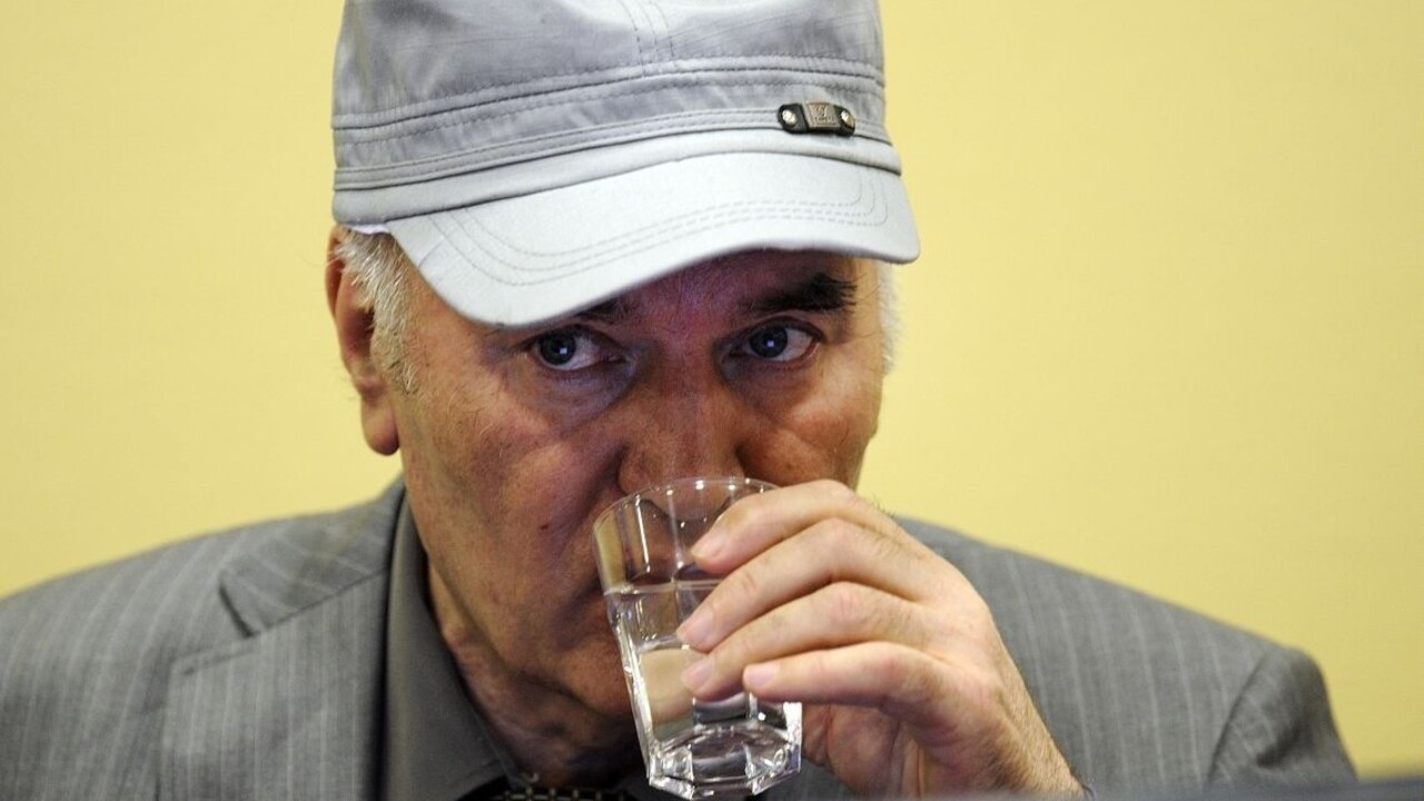 Mladič podľa obžaloby o čistkách vedel a dokonca ich podporoval