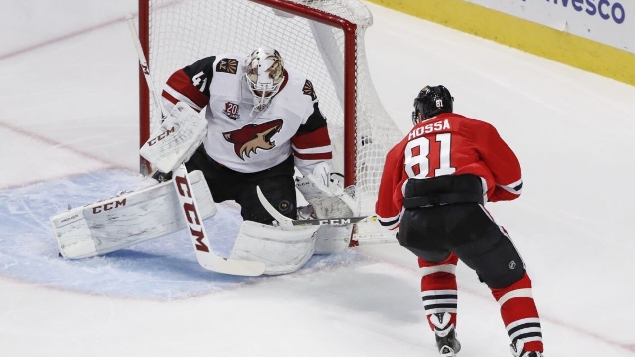 Úspešné chvíle Slovákov v NHL: Hossa s Tatarom skórovali, Halák hviezdil