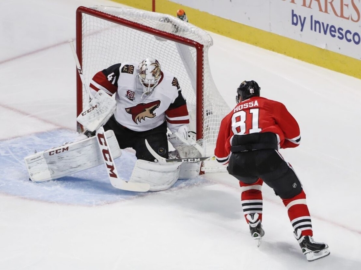 Úspešné chvíle Slovákov v NHL: Hossa s Tatarom skórovali, Halák hviezdil