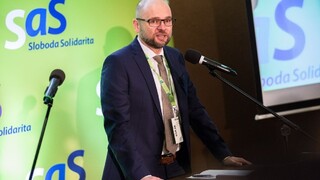 Volebné voľno namiesto sviatku? Sulíkovci chcú meniť volebný systém