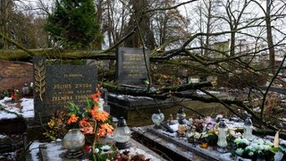 V Martine odstraňujú následky kalamity, vietor poškodil Národný cintorín