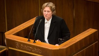 Dubovcová v parlamente neuspela, plénum jej správu neodobrilo