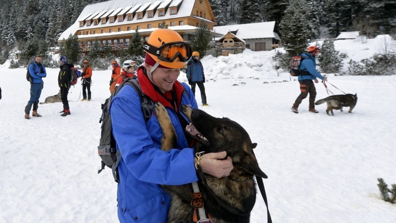 Záchranárske psy pomohli zachrániť mnohé životy, hviezdil hlavne Beny