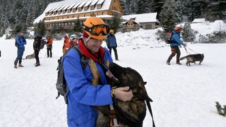 Záchranárske psy pomohli zachrániť mnohé životy, hviezdil hlavne Beny