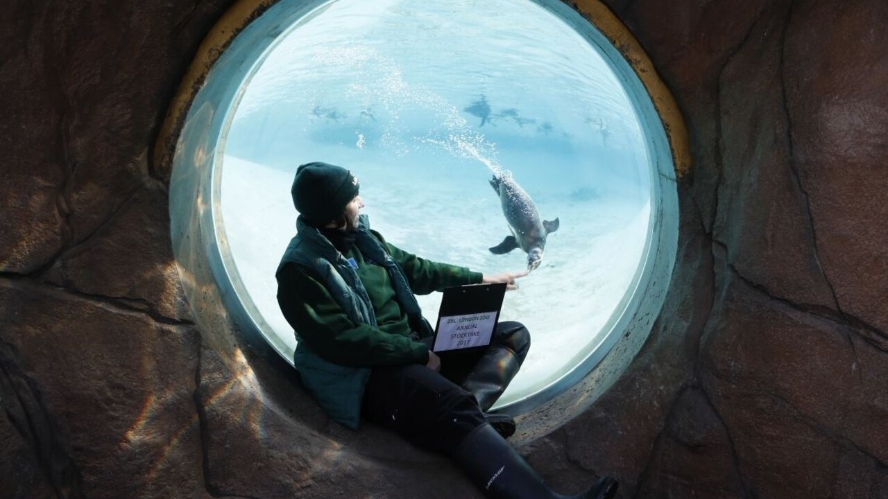 Pohybujte sa ako tučniaky, radia nemeckí lekári