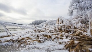 Predĺžený víkend bude arktický, mráz znepríjemní silný vietor