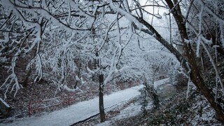 Slovensko trápia silné mrazy a vietor, vydali varovanie