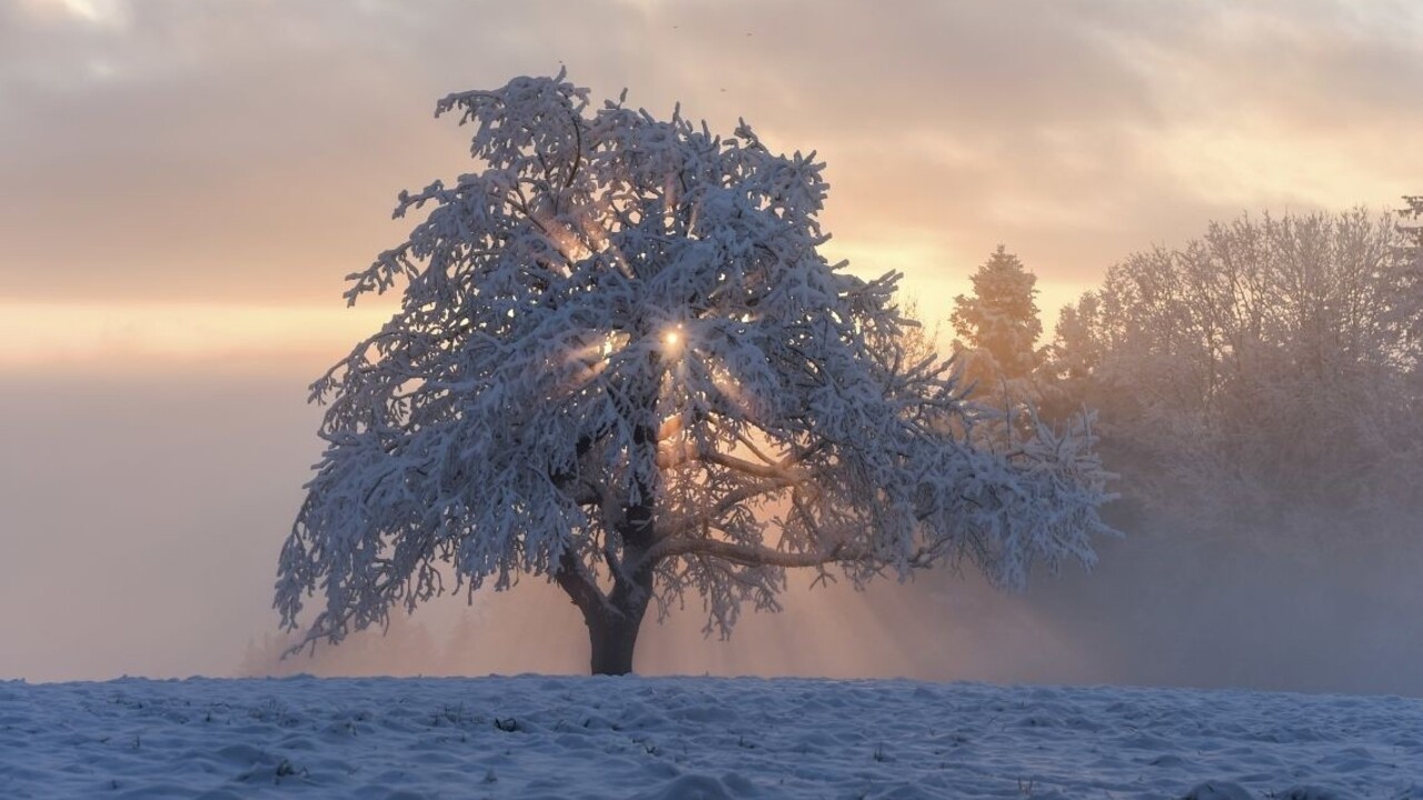 zima sneh mráz strom 1140 px (SITA/AP)