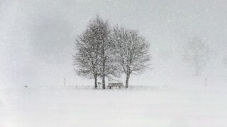 Európa bojuje s kalamitou, Nemecko zasiahla snehová búrka