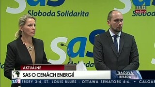 TB predstaviteľov strany SAS o cenách energií
