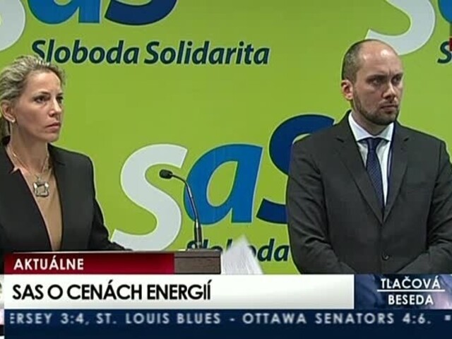 TB predstaviteľov strany SAS o cenách energií