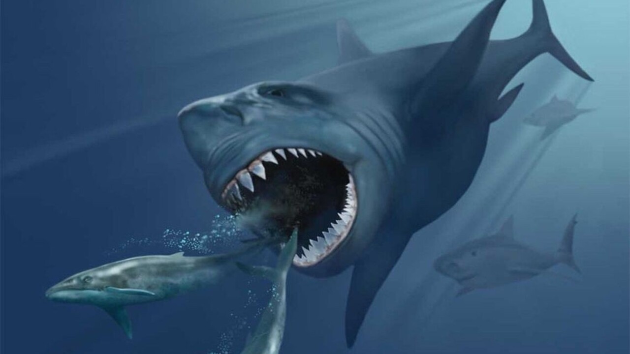 Zistili, prečo vyhynul najhroznejší morský predátor všetkých čias
