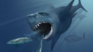 Zistili, prečo vyhynul najhroznejší morský predátor všetkých čias