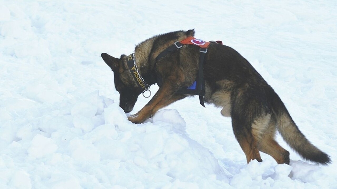 Lavína zasypala v Rakúsku štyroch Čechov, na túru sa vybrali bez vybavenia
