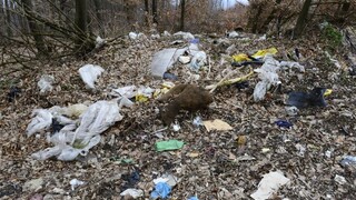 V boji proti čiernym skládkam obce vyhadzujú státisíce do vetra