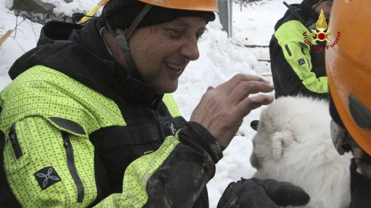Z trosiek zavaleného hotela vytiahli tri živé šteniatka
