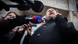 Švecová sa bojí, tvrdil Štefan Harabin na svojej disciplinárke