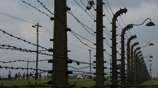 holokaust plot 1140 px (SITA/AP)