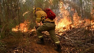 Najhoršie požiare v dejinách Čile hasiči ešte neskrotili, trvajú týždne