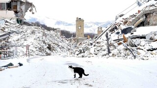 Talianske Amatrice opäť čelilo zemetraseniu, zrútila sa časť kostola