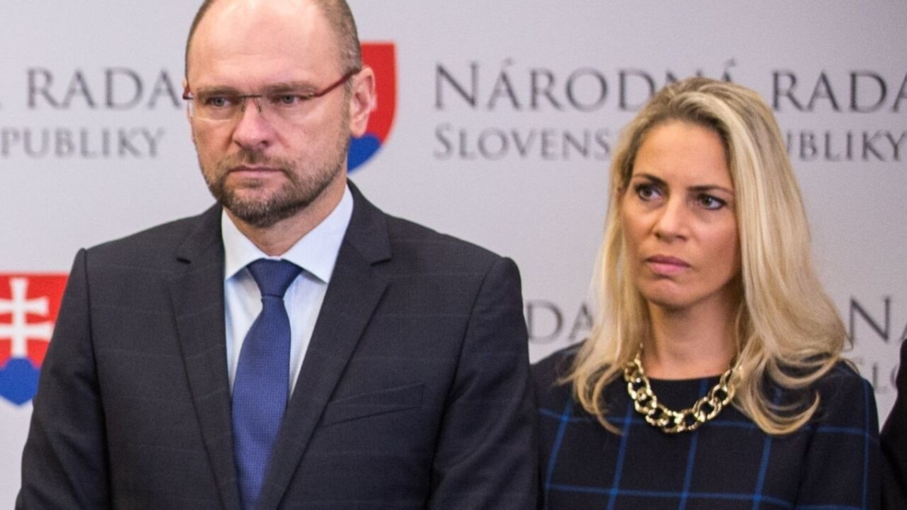 Holjenčík podľa SaS dovolil energetikom nanovo "odpisovať" majetok