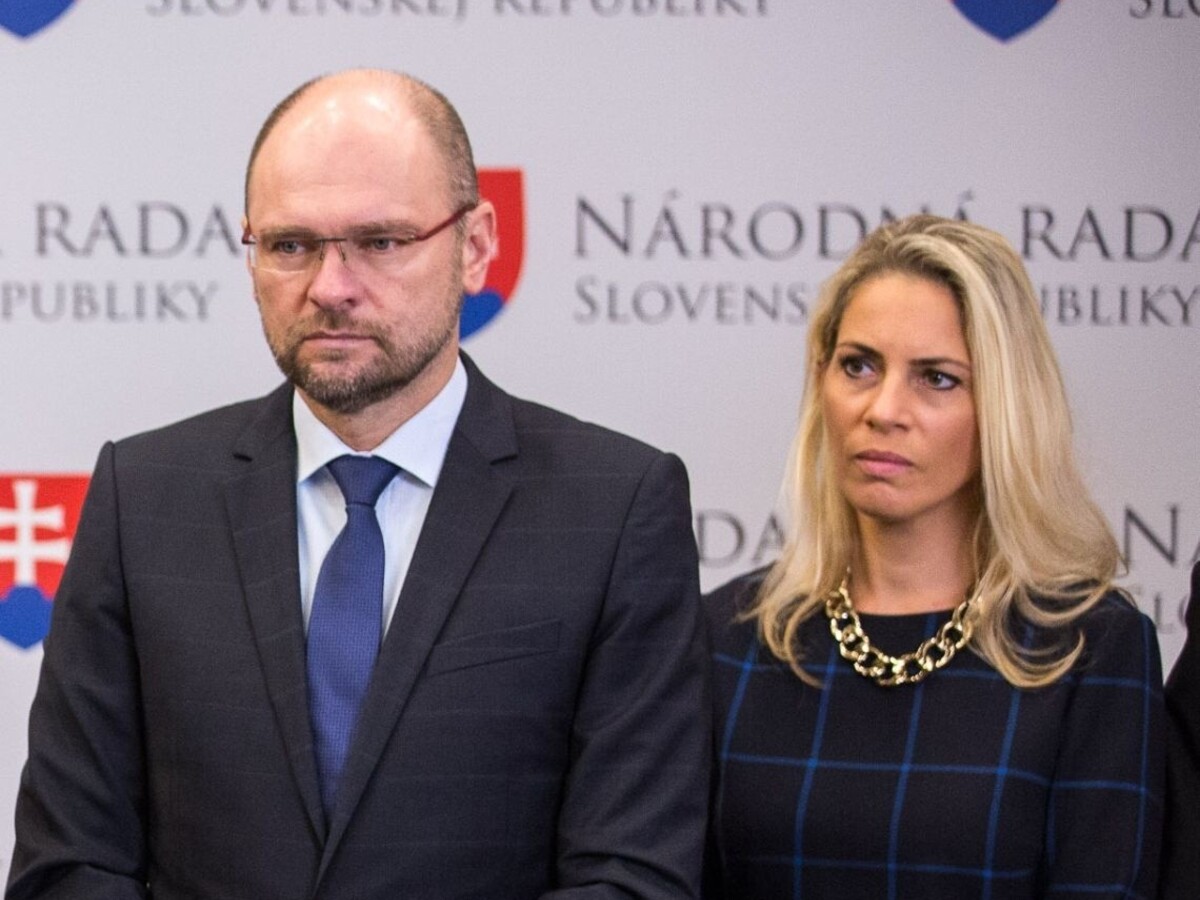 Holjenčík podľa SaS dovolil energetikom nanovo "odpisovať" majetok