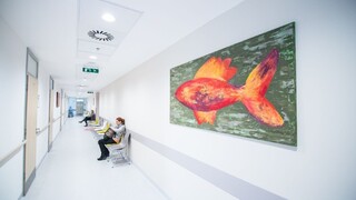 Väčšina ambulantných pohotovostí zanikne, pacienti budú musieť cestovať