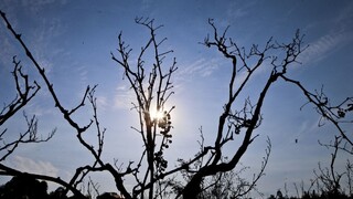 Čílské úrady po týždňoch mohutných požiarov zrušili stav ohrozenia