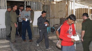 Tajné popravy v Sýrii? Vo väzení mali obesiť tisícky odporcov režimu