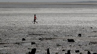 More vyplavilo na východoanglické pláže nečakanú zásielku