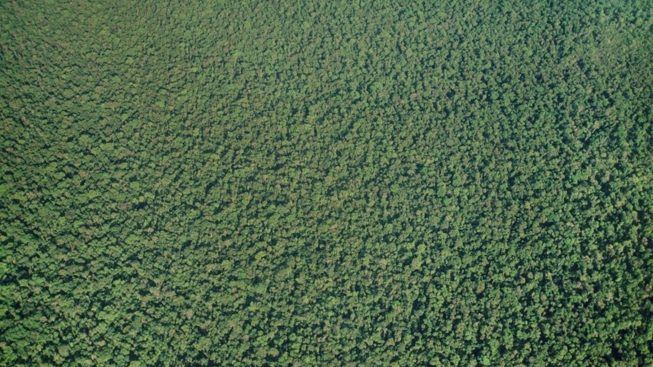 Pod zeleňou amazonského pralesa našli záhadné veľké obrazce