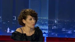 Situácia v SaS a v opozícii / Migrácia a Brexit očami dánskeho europoslanca