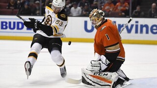 NHL: Chárov gól Bostonu nepomohol, Sekera nedohral zápas