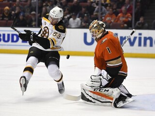NHL: Chárov gól Bostonu nepomohol, Sekera nedohral zápas
