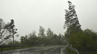 vietor stromy počasie 1140 px (SITA/Radoslav Maťaš)