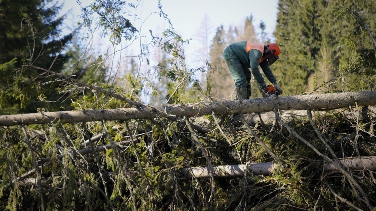 Silná víchrica vo Vysokých Tatrách vyvrátila stovky stromov