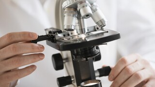 Ako vyzerala najstaršia forma života? Odpoveďou môžu byť kanadské fosílie