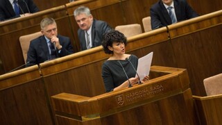 Richter v TA3 hovoril o priaznivom vývoji zamestnanosti, Nicholsonová o manipulácii