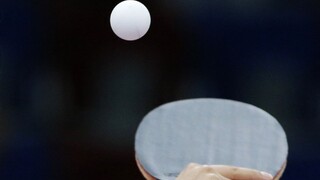 Slováci zdolali v stolnom tenise Estóncov, ženský tím však podľahol Taliankam
