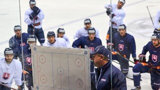MS v ľadovom hokeji sa blížia, naša reprezentácia nastúpi v máji