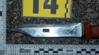 Mladík, ktorý brutálne zavraždil dieťa, je už zrejme v rukách polície