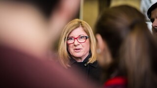 Poľnohospodárstvo podľa Matečnej nie je v stave, v akom by malo byť