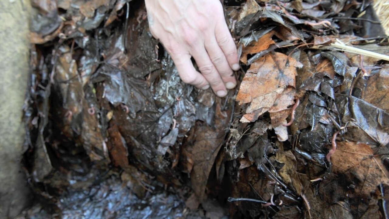 Bratislavčanov čaká novinka, do domovov im donesú kompostéry