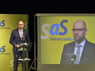 Sulík: Keď amnestie mohli čakať vyše 15 rokov, mesiac či dva ešte počkajú