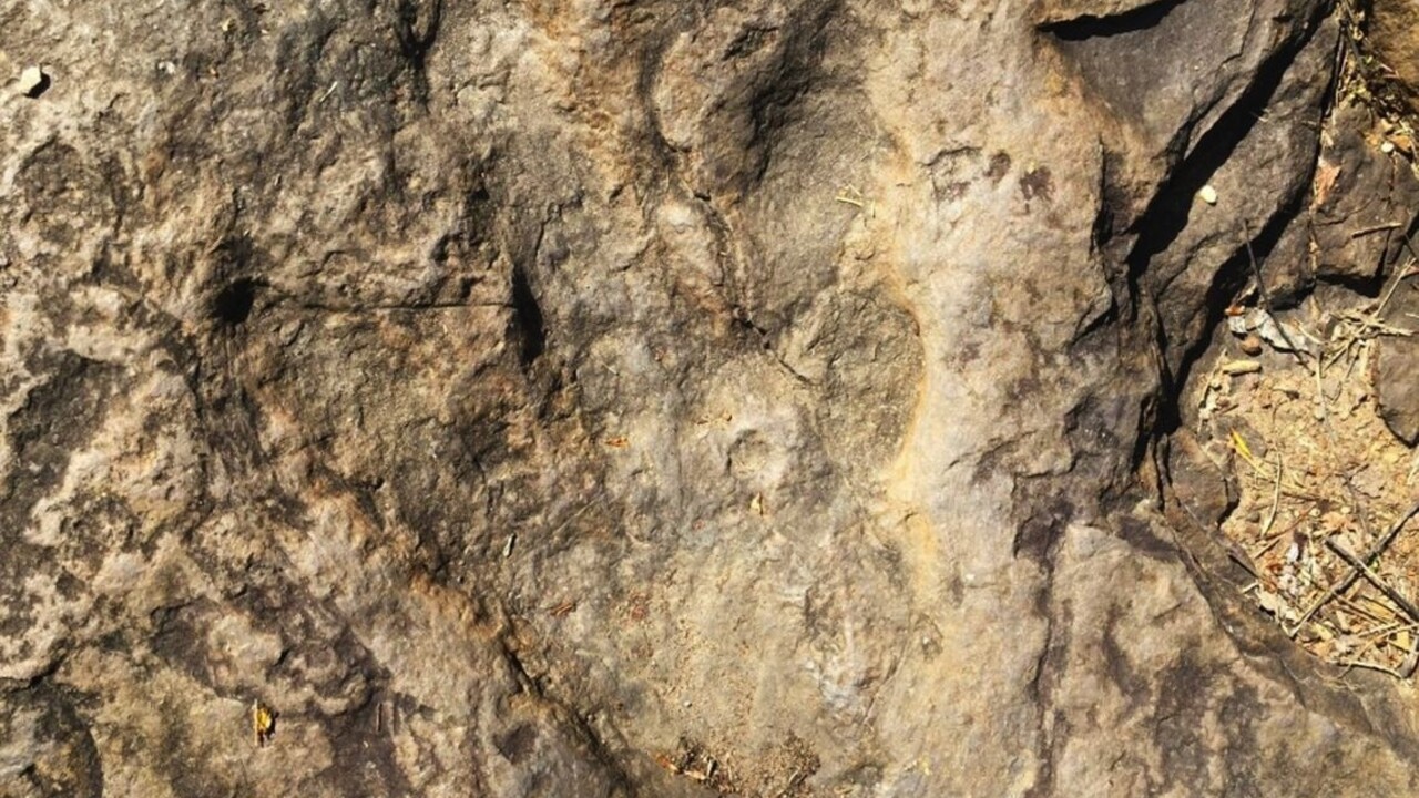 V austrálskom Jurskom parku našli najväčšiu stopu dinosaura