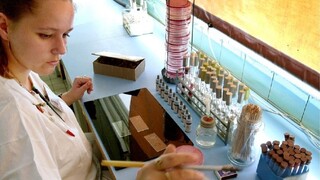 V Bratislave našli tony kuracieho mäsa nakazeného salmonelózou