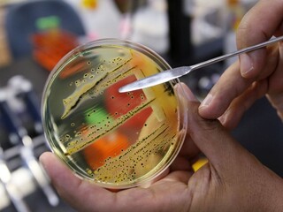 Desiatky ľudí sa nakazili salmonelózou, epicentrum bolo v škole