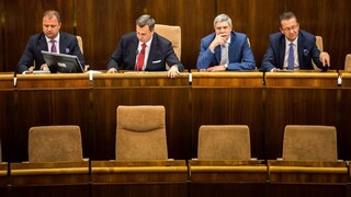 Novela o amnestiách je už v zbierke zákonov. Na rade je parlament