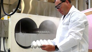 Počet nakazených na salmonelózu stúpol na niekoľko desiatok