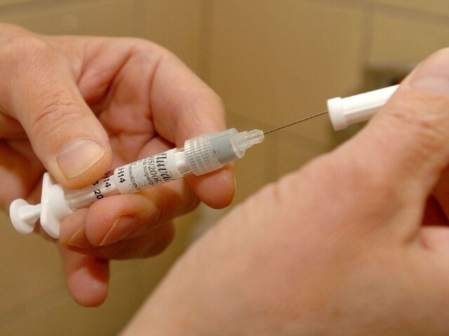 V Česku bojujú s epidémiou, hygienici nariadili očkovanie
